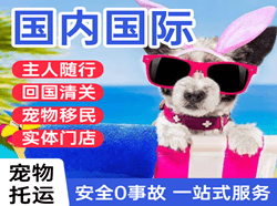 白城航空货运国际宠物托运 【国